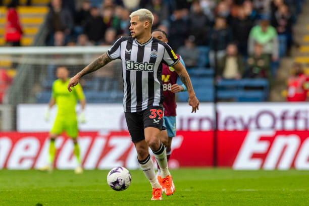 本次他选择 本次他选择